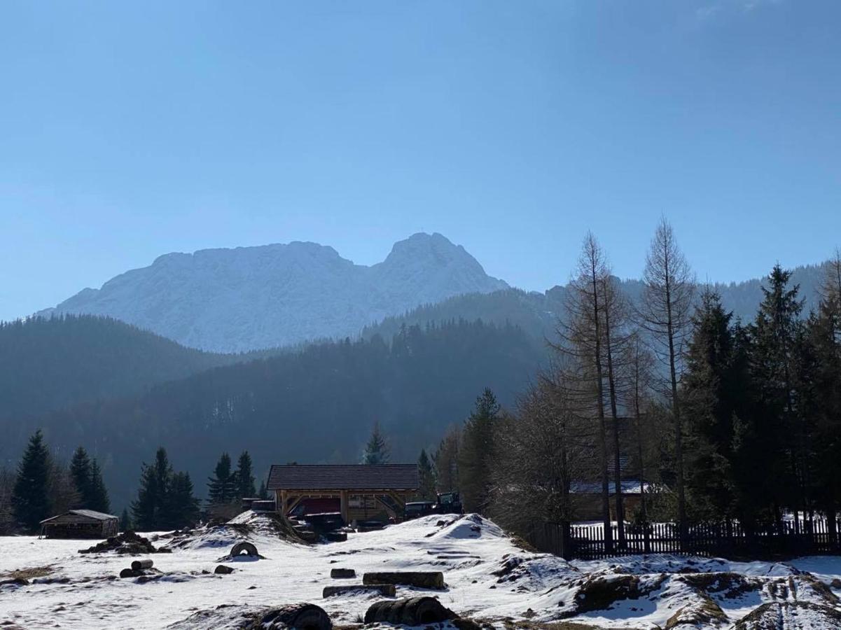 Apartament Mysliwski Zakopane Exteriör bild