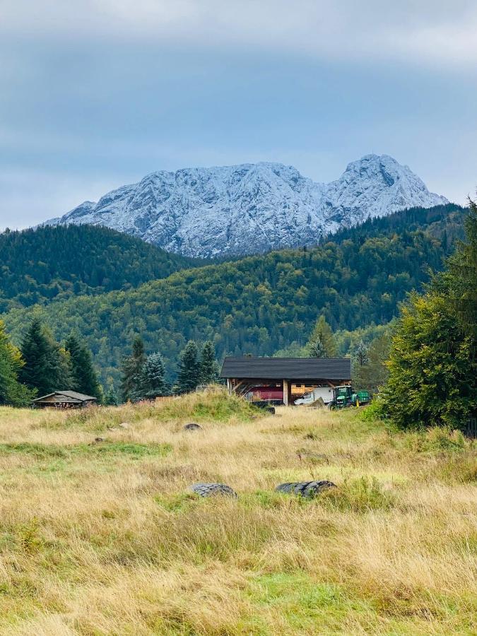 Apartament Mysliwski Zakopane Exteriör bild